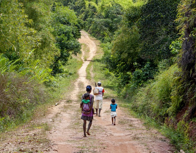 A family walks from home down a long dirt road surrounded by green trees and shrubs on either side of the road. They are walking to their nearest hospital where they can find care and information about Operation Smile.