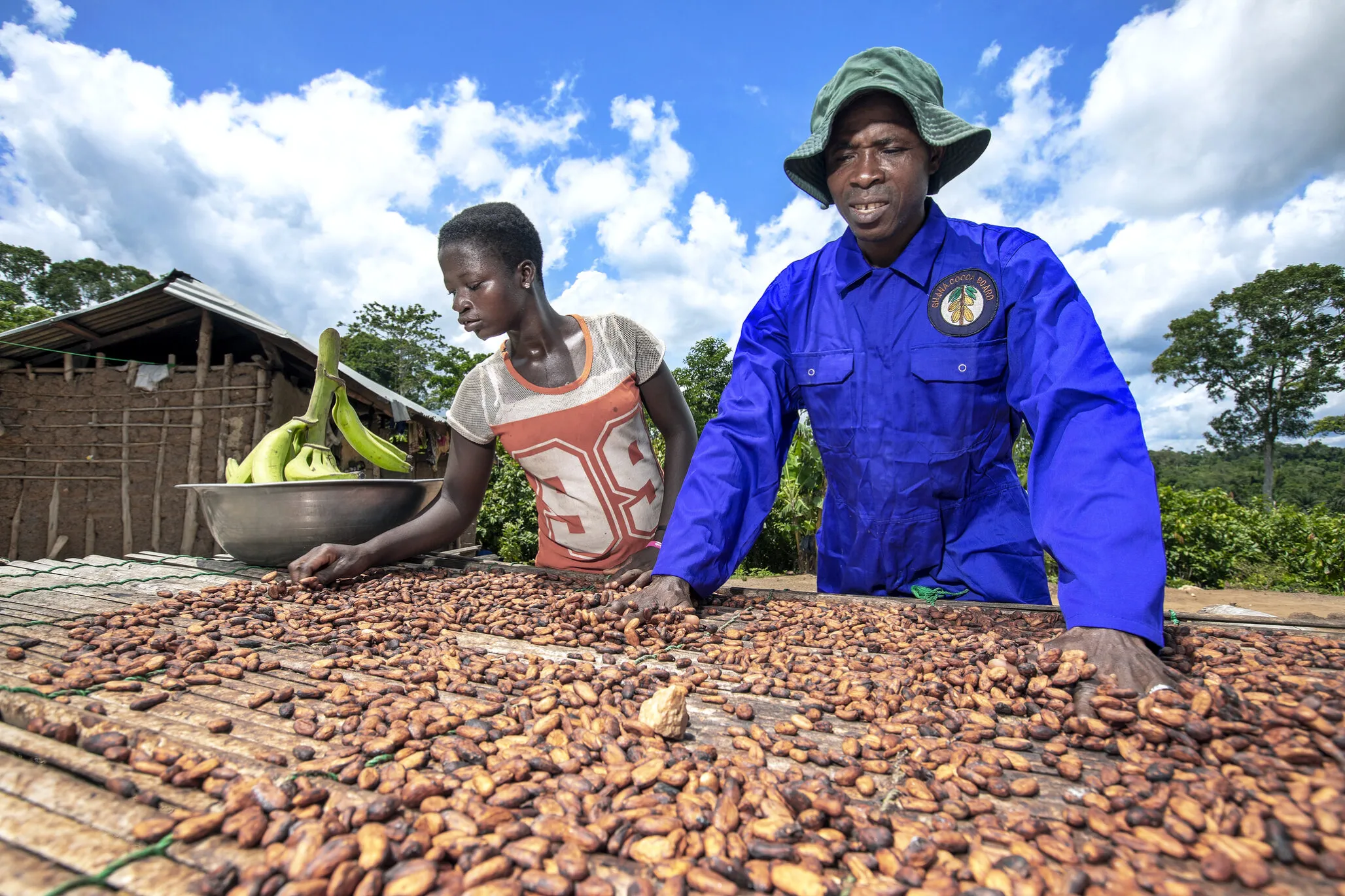 Faustina and Mohammed lay out cocoa beans for drying.