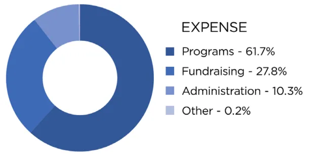Graph of 2021 Financials
