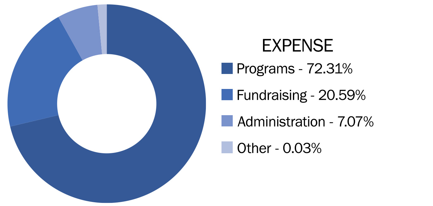 Graph of 2019 Expenses